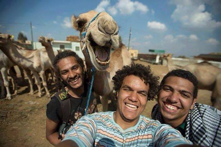 Brilliant Egypt Tours